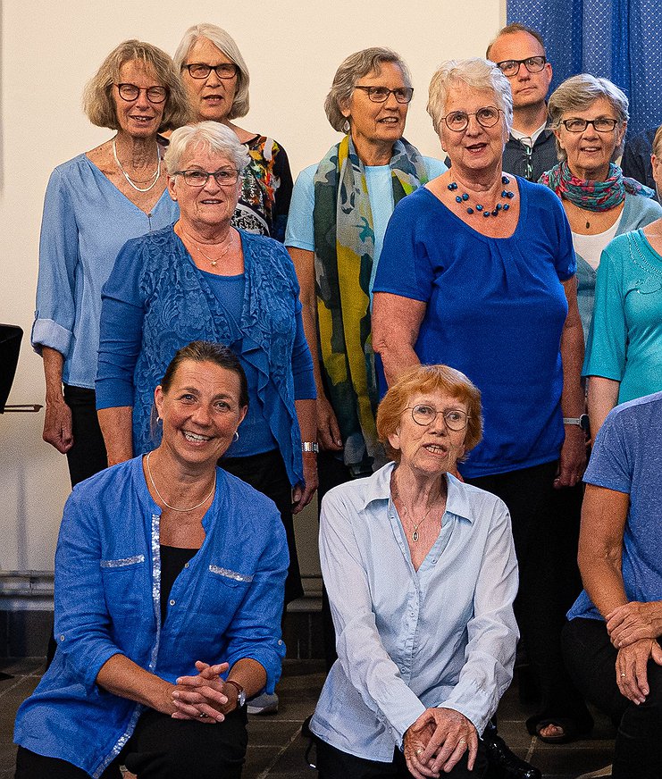 Bijbehorende foto voor activiteit Kamerkoor Vocapella